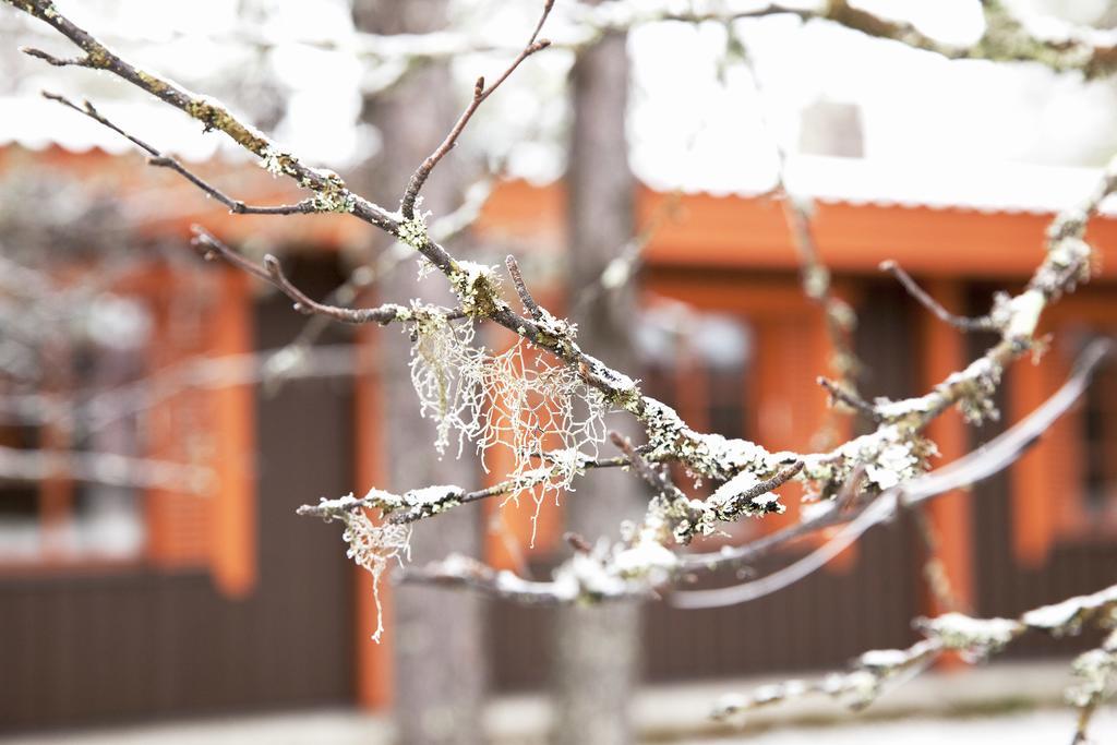 Saariselkae Inn Majatalo Panimo Екстер'єр фото